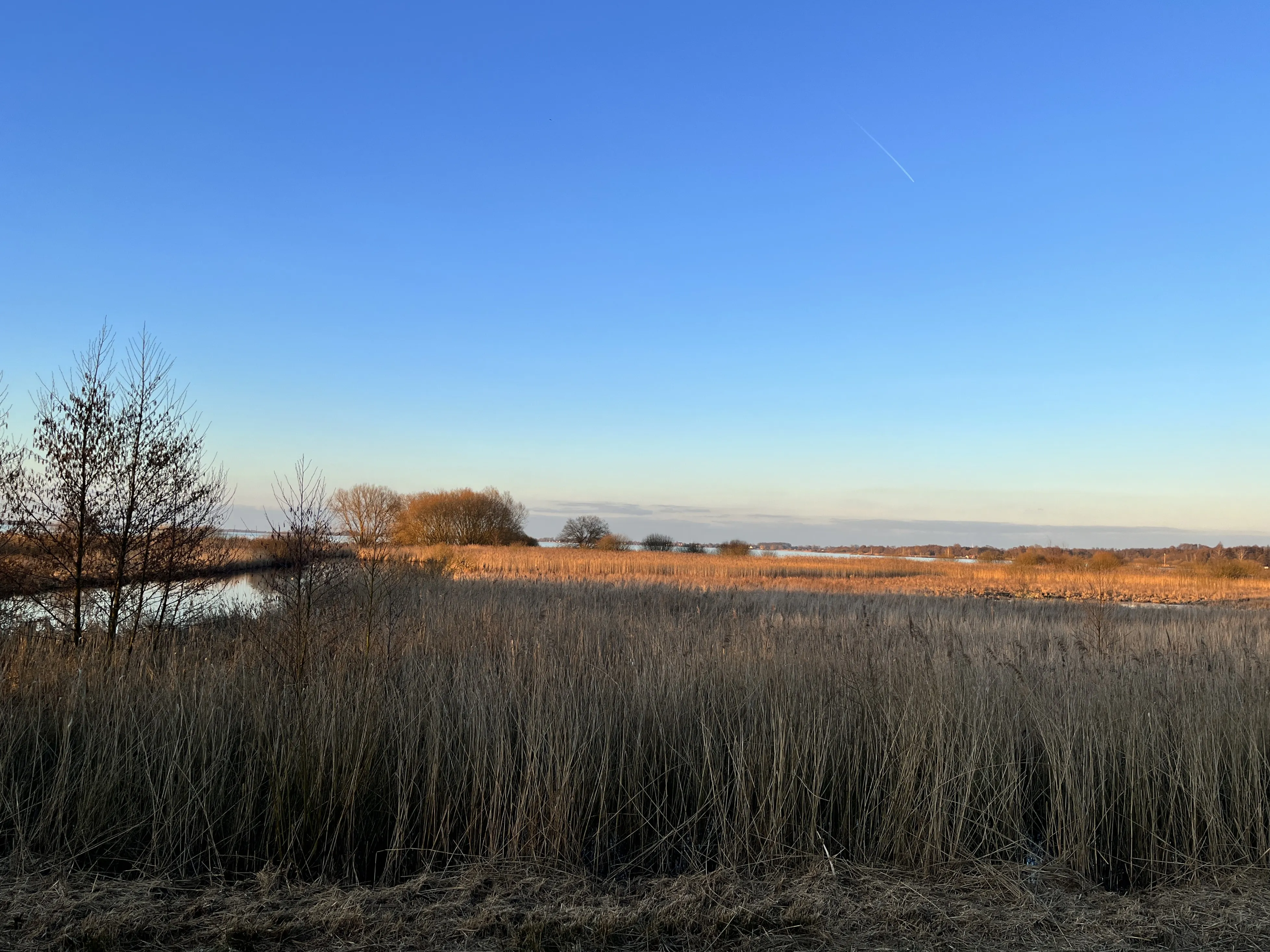 Landschaft am Dümmersee